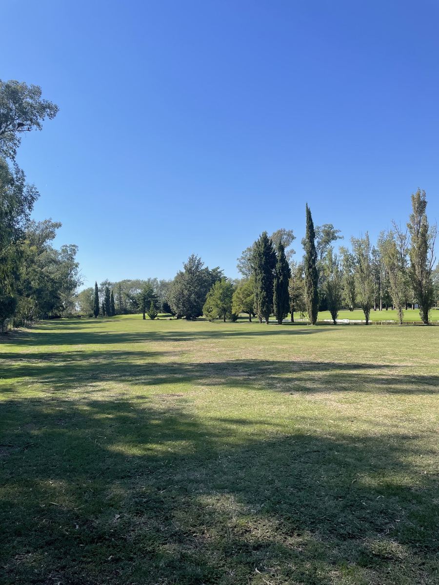 Recorrido de la cancha de golf con arboleda bajo cielo despejado